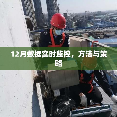 实时掌握数据动态，12月监控方法与策略