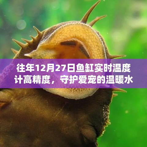 往年12月27日高精度鱼缸温度计，守护宠物温暖水域