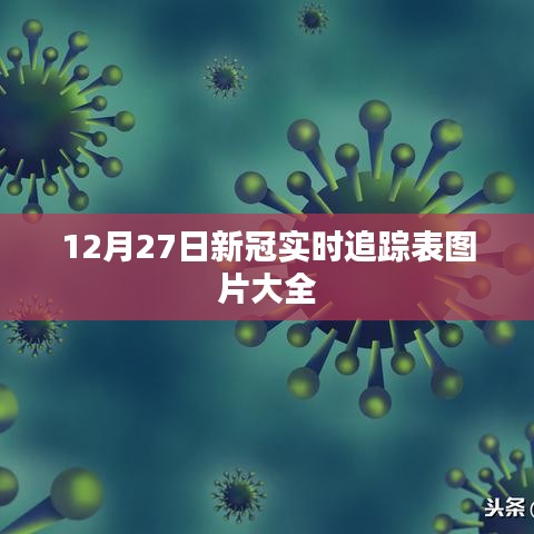 12月27日新冠实时追踪表图片汇总