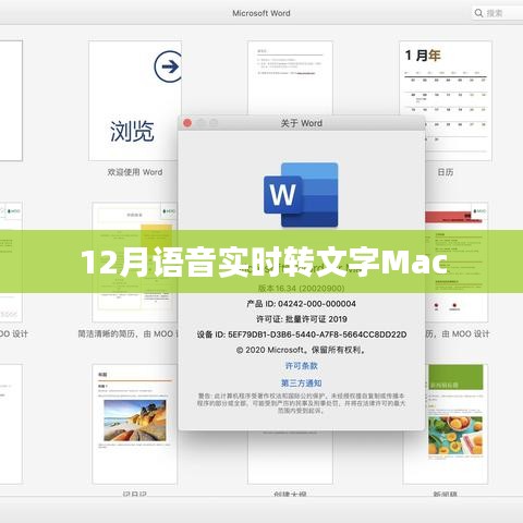 语音实时转文字Mac软件使用指南