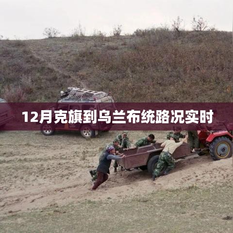 成功案例 第95页