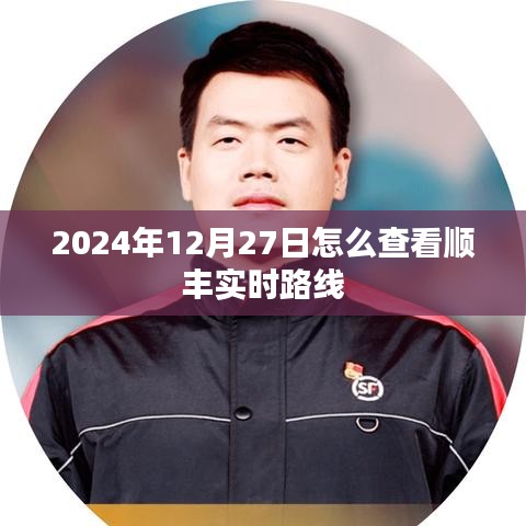 顺丰实时路线查询指南，如何查看顺丰快递实时动态