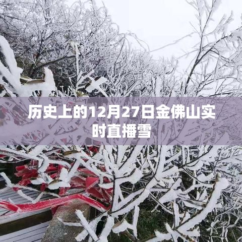 公司简介 第99页