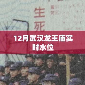 武汉龙王庙最新实时水位信息