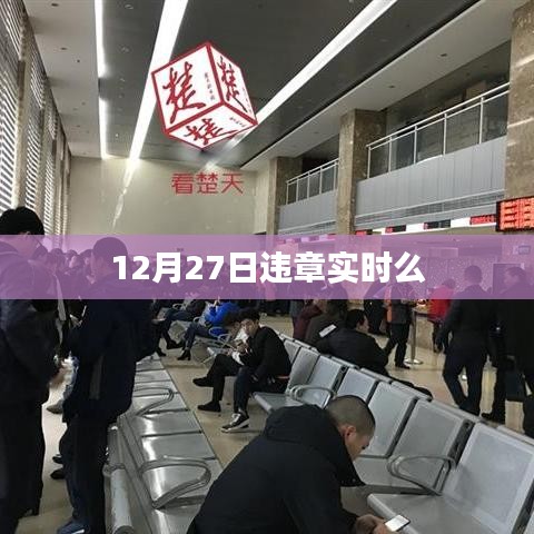 12月27日违章实时查询
