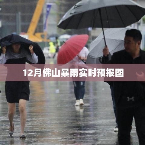 公司简介 第97页