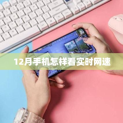 莺声燕语 第3页