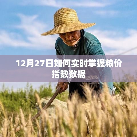12月27日掌握实时粮价指数数据的方法