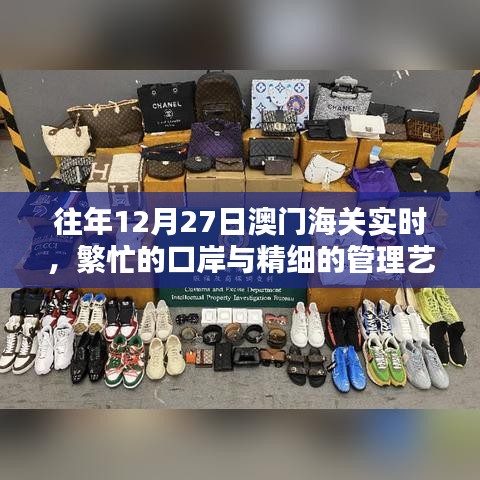 澳门口岸繁忙背后的精细管理艺术，海关实时纪实