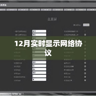 12月网络协议实时显示特性解析