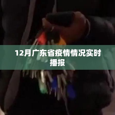 广东疫情实时播报，最新数据解读