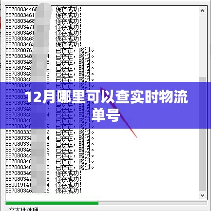 12月实时物流单号查询攻略