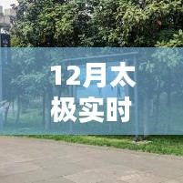 太极实时单，12月实战体验分享