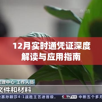 12月实时通凭证解读与应用指南，深度解析