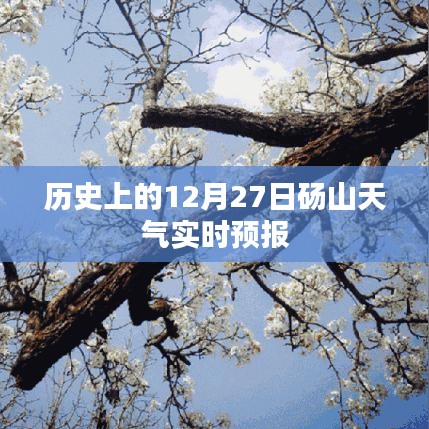 砀山历史天气回顾，12月27日实时天气预报