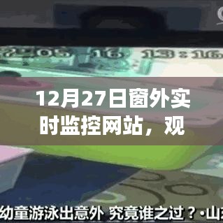 窗外观察体验，实时网站的深度思考之旅