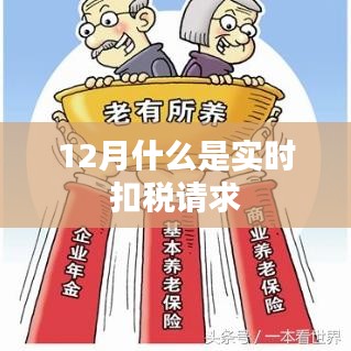 实时扣税请求解析，12月税务要点解读