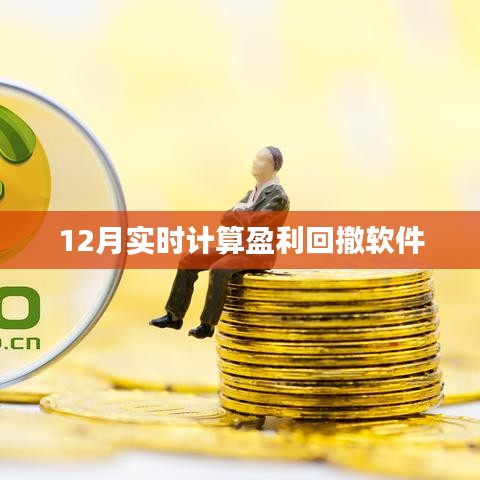 实时计算盈利回撤软件最新动态，12月表现如何？