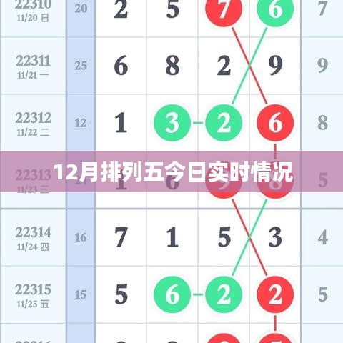 12月排列五最新实时动态
