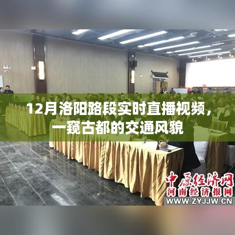洛阳路段实时直播，古都交通风貌一瞥