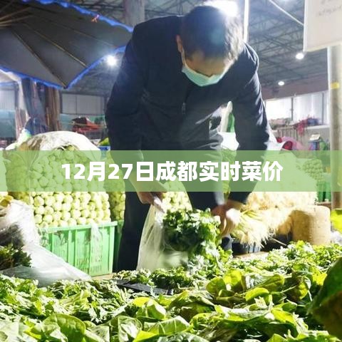成都最新菜价，12月27日实时更新
