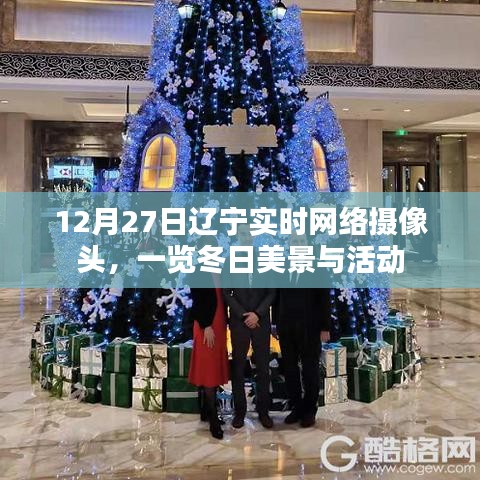 辽宁冬日实时摄像头，美景与活动尽收眼底