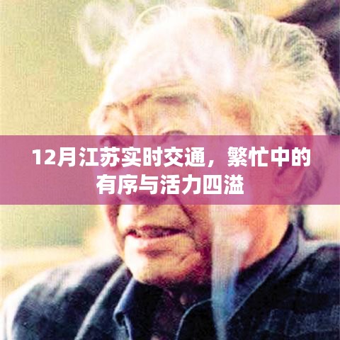 江苏十二月实时交通，繁忙有序，活力四溢
