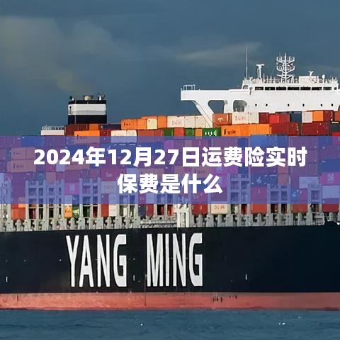 关于运费险实时保费的信息（日期标注）
