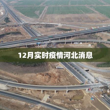 河北最新疫情实时消息通报