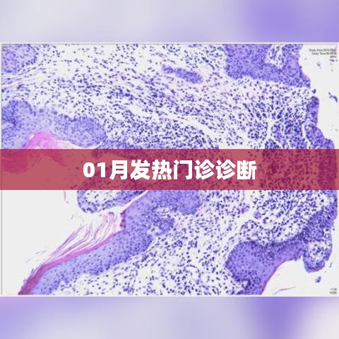 01月发热门诊诊断详解