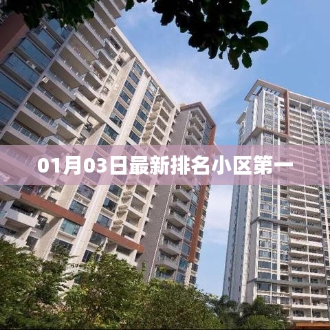 最新排名出炉，小区荣登首位（日期，01月03日）