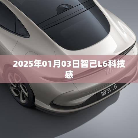 智己L6未来科技体验，前瞻至2025年