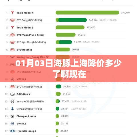 上海海豚最新降价信息，今日价格变动揭晓