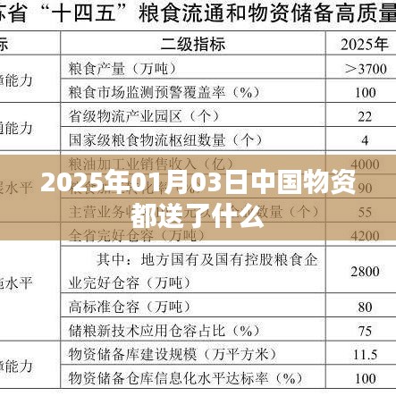 中国物资在2025年1月3日的物流动态，物资配送概览
