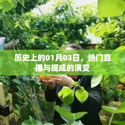 热门直播与提成的演变历程，回顾历史上的1月3日