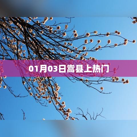 嵩县上热搜，最新消息揭秘！