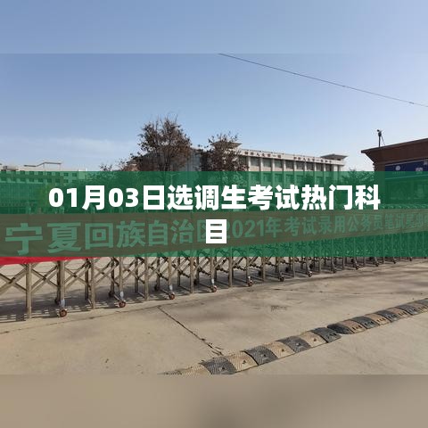 选调生考试热门科目解析