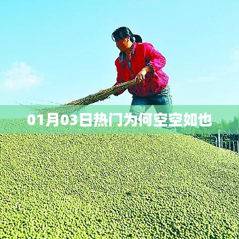 01月03日热门为何无内容展示？