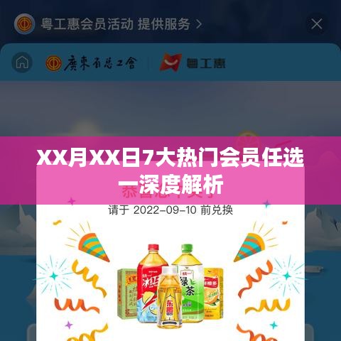 XX月XX日热门会员任选一，深度解读与解析