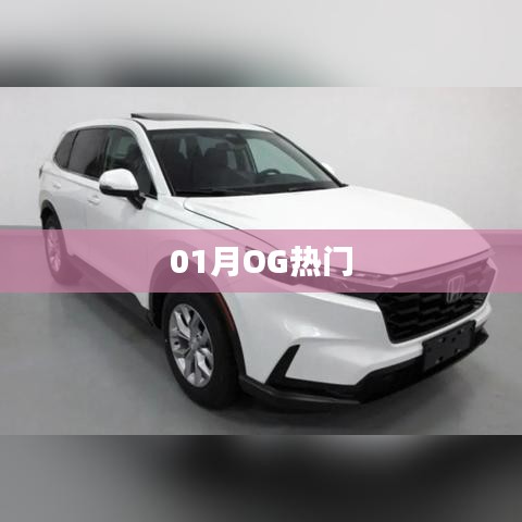 昙花一现 第2页