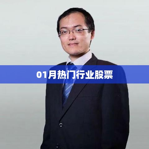 最新热门行业股票动态（一月版）