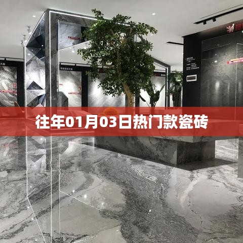 精选瓷砖款式，历年一月初抢先看！