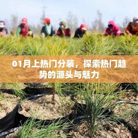 风韵犹存 第2页