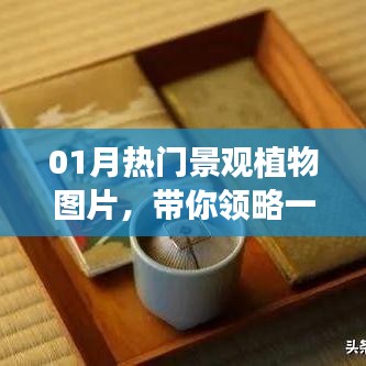 晋惠闻蛙 第2页