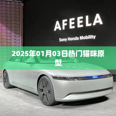 猫咪原型大揭秘，2025年热门猫咪风采
