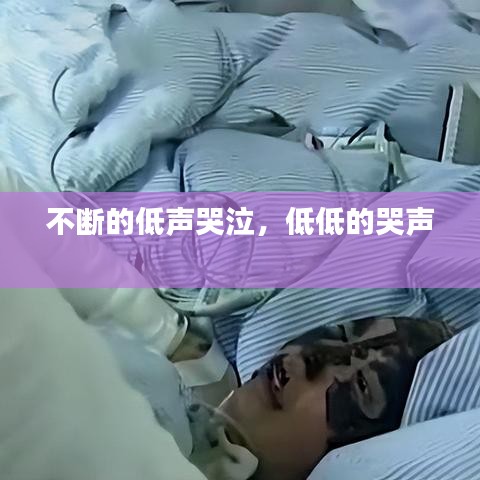 不断的低声哭泣，低低的哭声