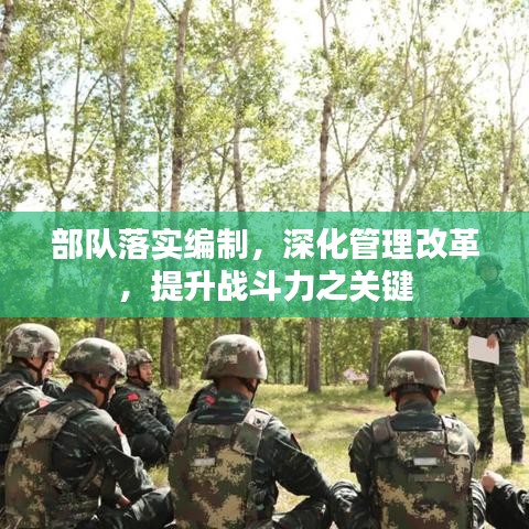 部队落实编制，深化管理改革，提升战斗力之关键