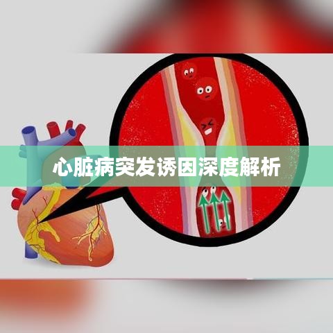 心脏病突发诱因深度解析
