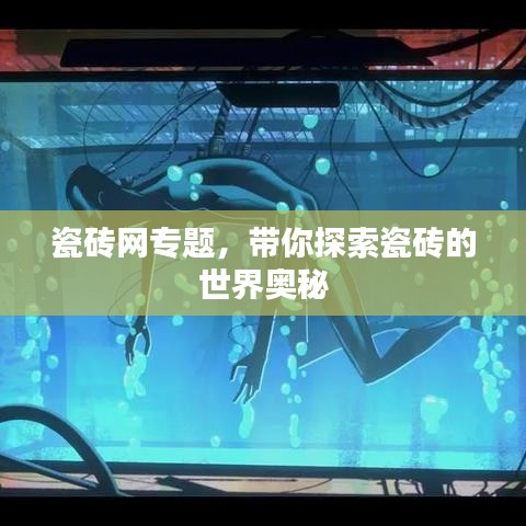 瓷砖网专题，带你探索瓷砖的世界奥秘