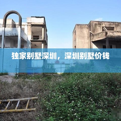 独家别墅深圳，深圳别墅价钱